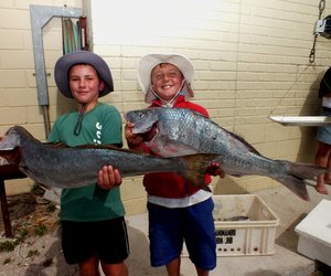 OBK en BBK se 10 Bote 